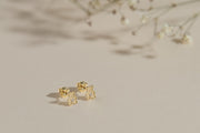 Boucles d'oreilles petits oursons